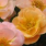 Flower Carpet Amber